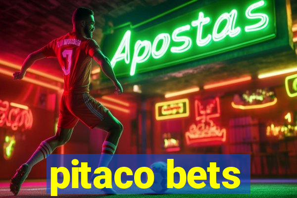 pitaco bets